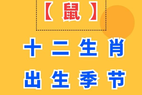 2025年属鼠人的全年运势详解 2025年属鼠人的全年运势详解