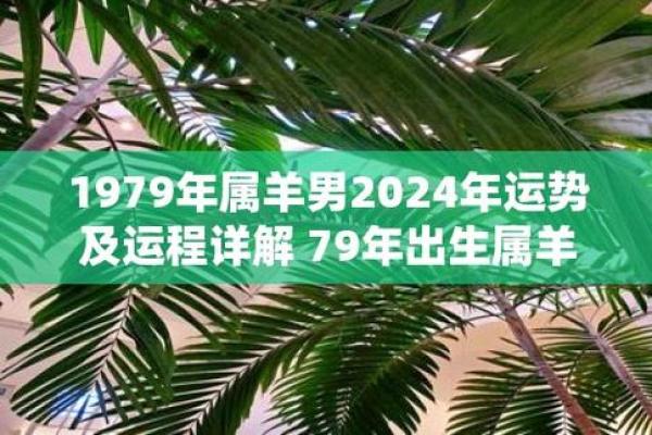 67年属羊男2024年运势及运程_2024年67年属羊男运势解析运程详解与吉凶预测 67年属羊男2024年运势及运程_2024年67年属羊男运势解析运程详解与吉凶预测