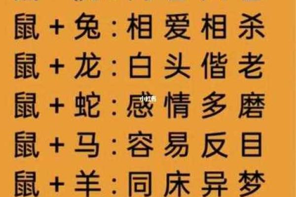 水乳交融是什么生肖 水乳交融是什么生肖