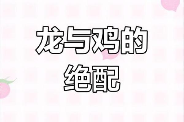 属鸡和属龙的婚姻相配吗_属鸡和属龙的婚姻合不合