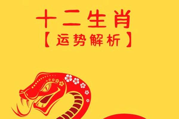 2025年96年属鼠人的全年运势女性 2025年96年属鼠人的全年运势女性