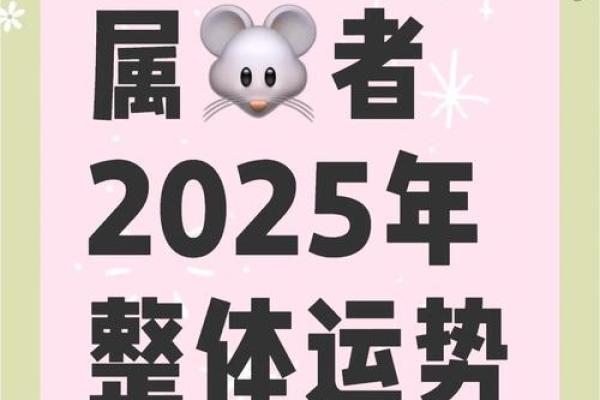 生肖鼠今年运势