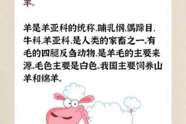 翻来覆去是什么生肖