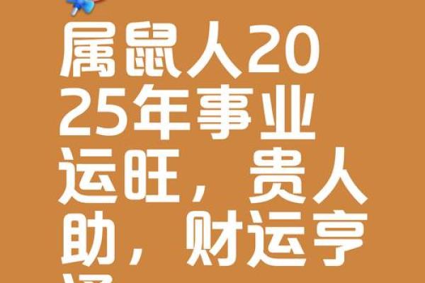 84年的男鼠2025年的运势及运程