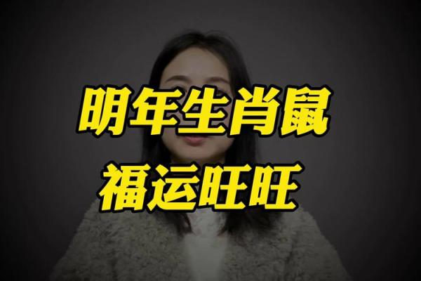 96年出生的鼠2025年的运势 96年出生的鼠2025年的运势