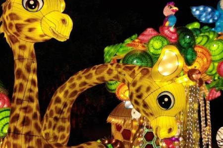 五光十色打一生肖