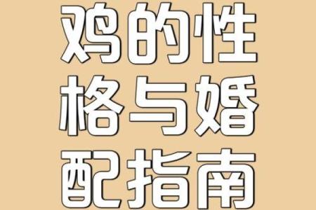 属鸡的人和什么属相合作最好 属鸡的人和什么属相合作最好呢