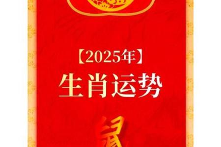 1984年2025年的鼠每月运势