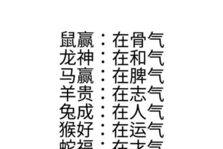 女属鼠打麻将财运和运势