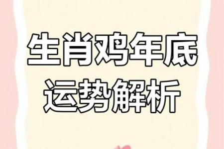 属鸡人2024年全年运势运程_属鸡人2024年运势详解全年运程大揭秘