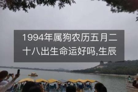 1994年的狗是什么命 五行属什么_1994年属狗五行属什么命运解析与运势预测