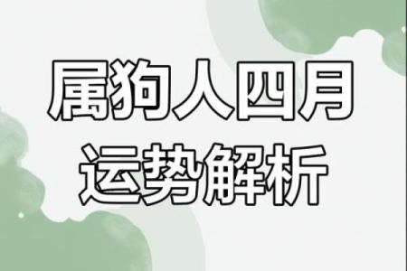 属狗虚岁多大2025_属狗的2021年虚岁多大年龄