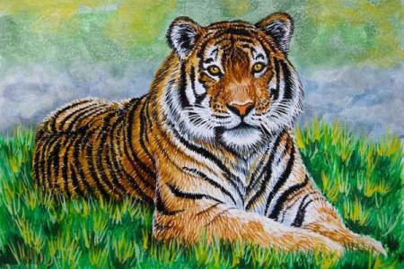 高人一等什么生肖