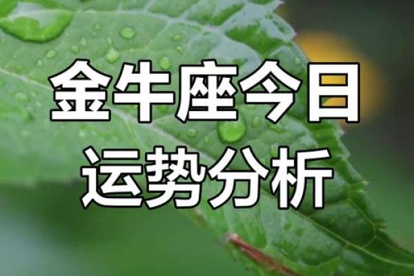 3月金牛座运势 3月金牛座运势