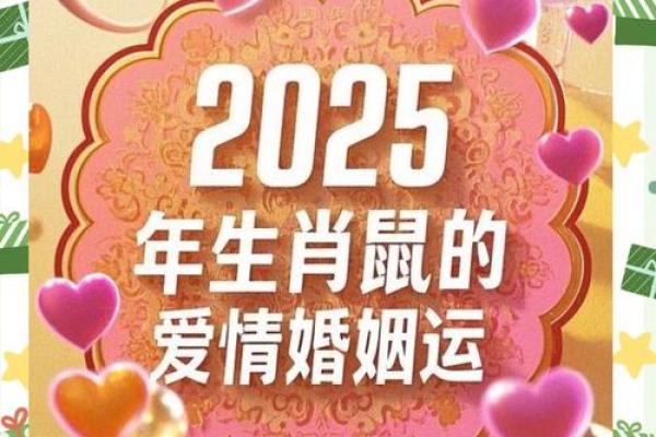 72年鼠2025年运势完整版 72年鼠2025年运势完整版
