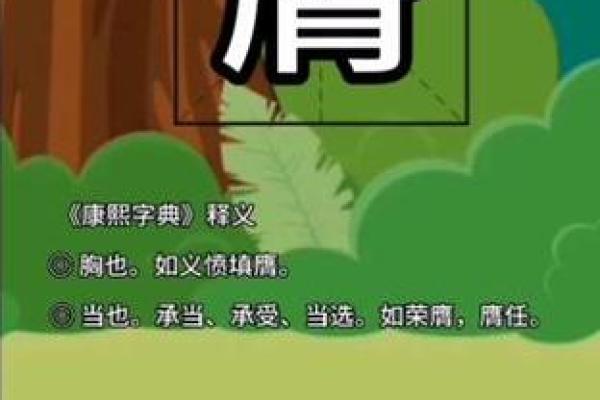 后宫三千是什么生肖 后宫三千是什么生肖