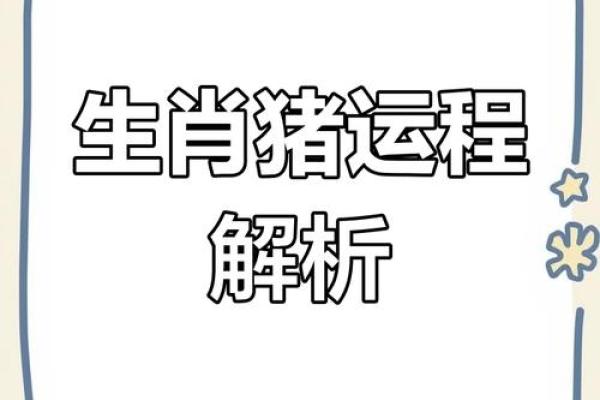 71属猪男2025年的运势及运程_2025年71属猪男运势详解运程预测与吉凶解析
