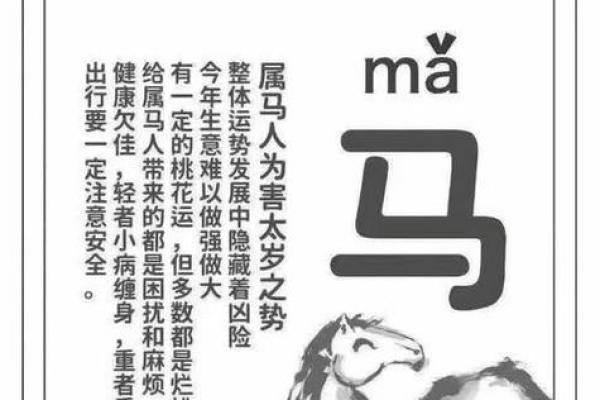 属马2025年很惨_属马2025年很惨69岁属什么的 属马2025年很惨_属马2025年很惨69岁属什么的