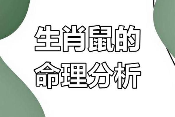 1996年2月11日出生属猪还是鼠生肖解析 1996年2月11日出生属猪还是鼠生肖解析