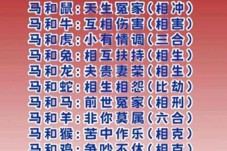 二零零二年属马的婚配 二零零二年属马人最佳婚配生肖解析与姻缘建议