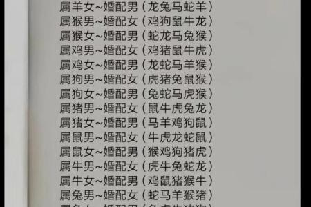 2001年属蛇和2002年属马婚配解析姻缘性格与爱情运势