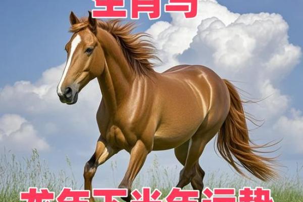 1966年属马的幸运颜色是什么 1966年属马幸运颜色揭秘运势提升必看指南 1966年属马的幸运颜色是什么 1966年属马幸运颜色揭秘运势提升必看指南