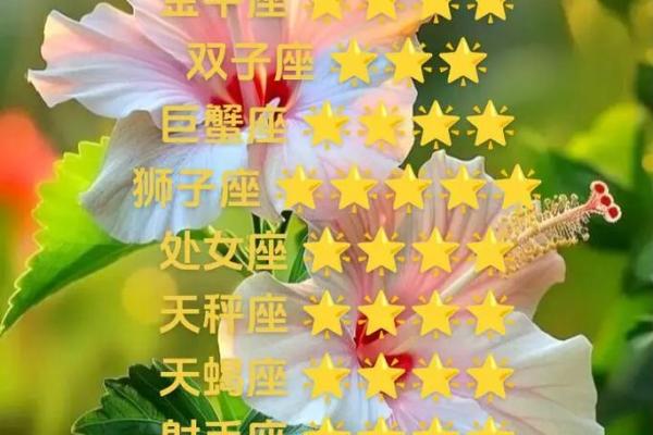 狮子座运势今日运势查询 2025年双鱼座女全年完整运气 狮子座运势今日运势查询 2025年双鱼座女全年完整运气