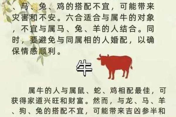 1982年属狗的最佳配偶_1982年属什么生肖的最佳配偶