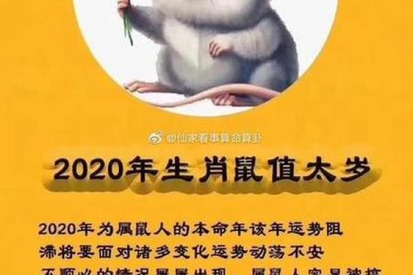 2025年1996年属鼠女的全年运势 2025年1996年属鼠女的全年运势