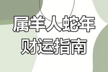 2025年属羊人运势详解财运事业感情全解析
