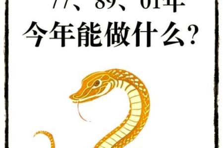 蛇年属羊的运势怎么样2025 蛇年最旺的四个属相