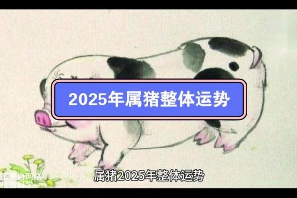 1995属猪2025年运势_1995属猪2025年运势如何