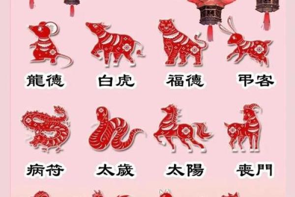 2025年4月26日生肖运势详解 2025年4月26日生肖运势详解