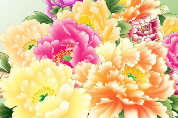 花明又一村是什么生肖