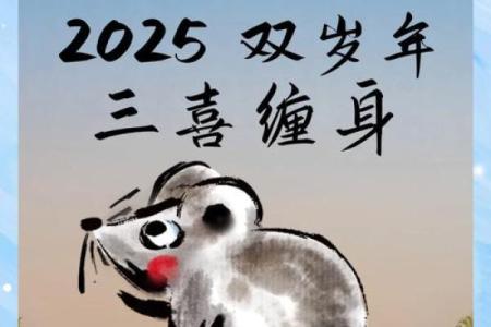 23年属鼠人的全年运势