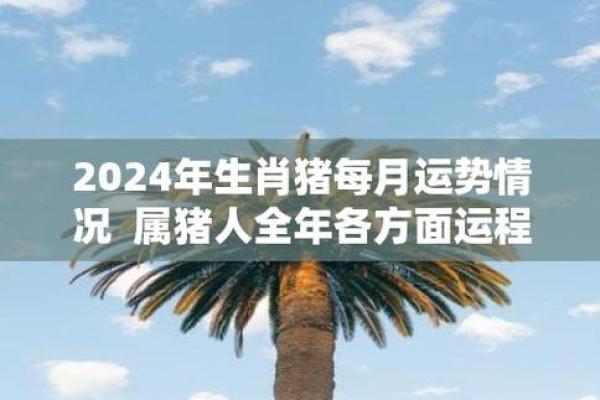 生肖猪2024年全年运势 2024年生肖猪全年运势详解财运事业爱情全面解析