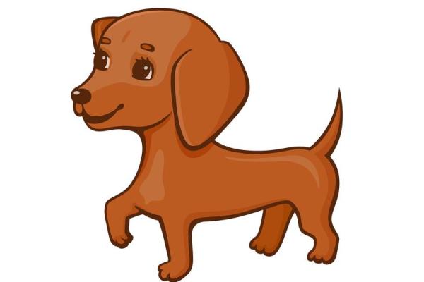 勾心斗角准确答案生肖 勾心斗角准确答案生肖