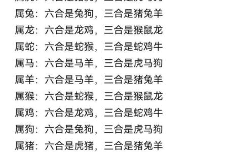 眼观六路是什么生肖