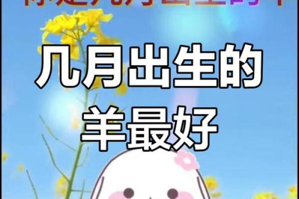 属羊的今年多大岁数了2023年属羊人年龄详解