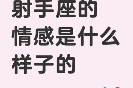 双子座对射手座的感情(双子座射手座配不配)