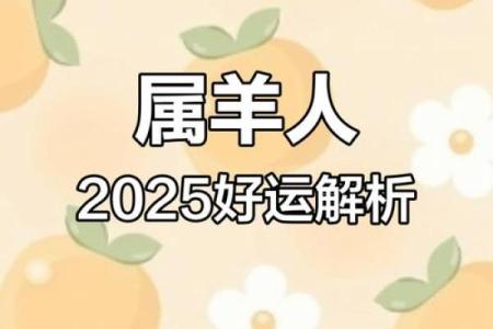 2025年67年属羊男财运解析运势如何