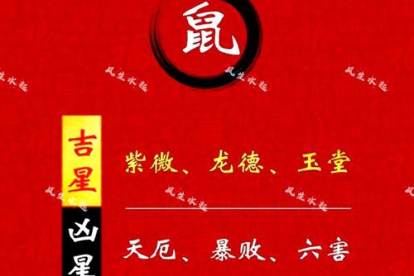 1984年属鼠人2025年每月运势 1984年属鼠人2025年每月运势