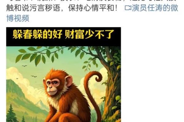 妙手回春是什么生肖