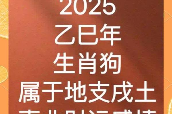属狗的今年多大2025年 1970年属狗多大