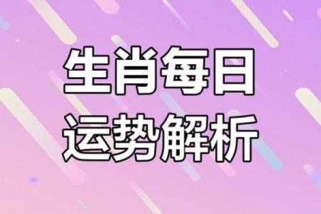 2025年4月28日生肖运势大揭秘