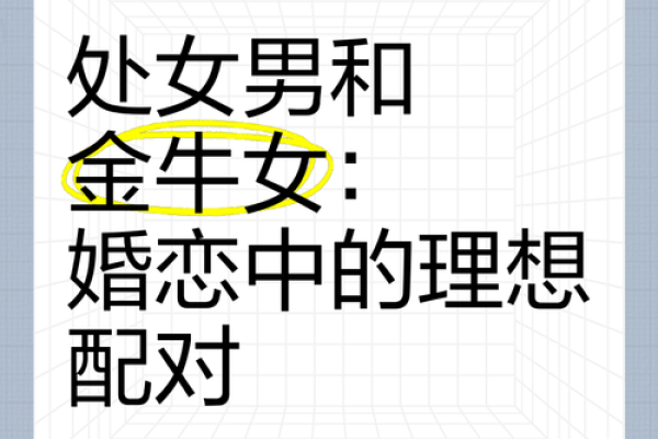 双子座女生处女座男生(双子座女生处女座男生合适吗) 双子座女生处女座男生(双子座女生处女座男生合适吗)