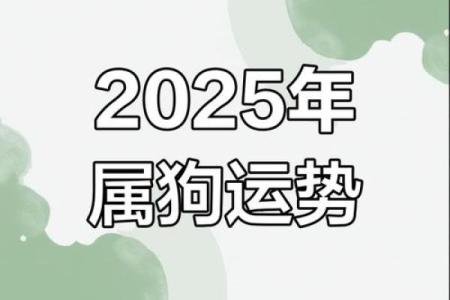 1982属狗2025年运势完整版 1982属狗2025年运势详解事业财运健康全解析