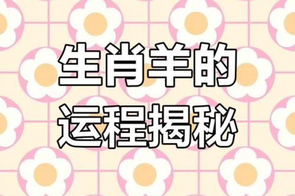 67年属羊男2024年运势及运程_1979年属羊2025年运势及运程详解