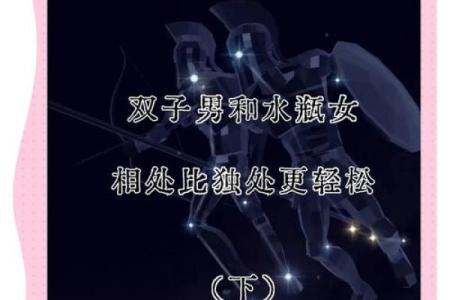 双子座跟水瓶座的相配率是多少(双子座和水瓶配对)