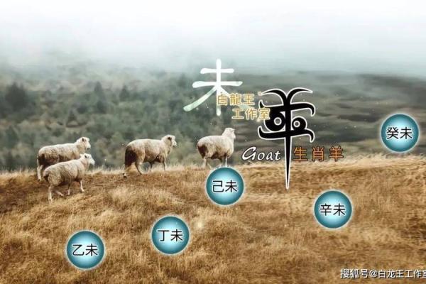 属羊的2025多大_属羊2025年运势及运程每月运程大家找算命网